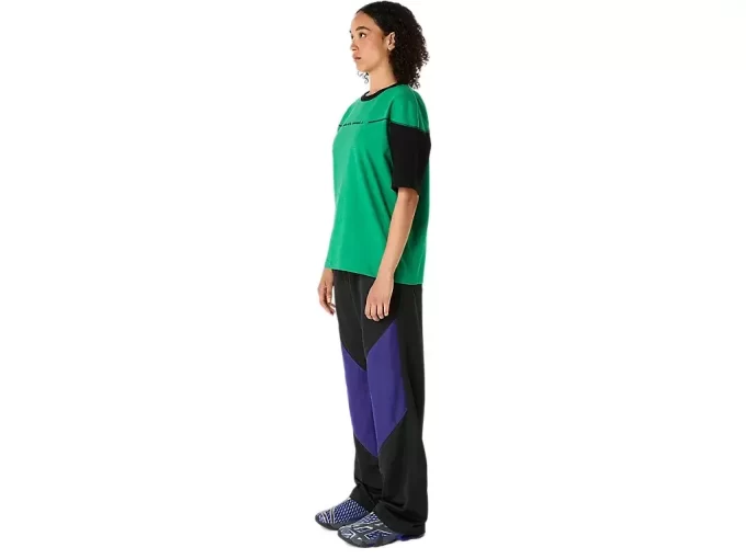 PANTALÓN DE LIATRISORÍA