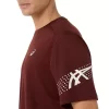CAMISETA DE MANGA CORTA ASICS ICON