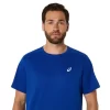 CAMISETA DE MANGA CORTA ASICS PLATA