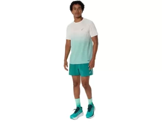 CARRETERA 5 EN CORTO