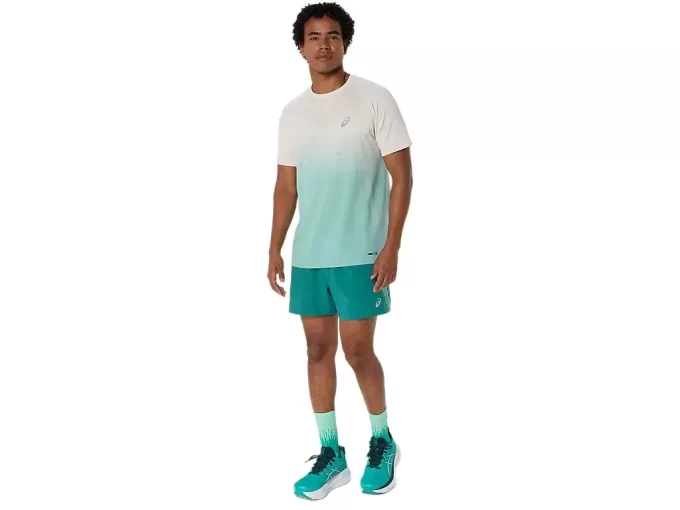 CARRETERA 5 EN CORTO