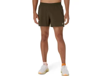 CARRETERA 5 EN CORTO