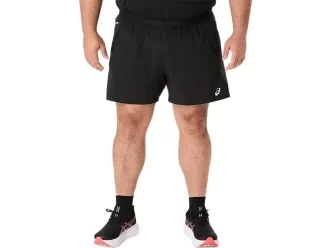 CARRETERA 5 EN CORTO