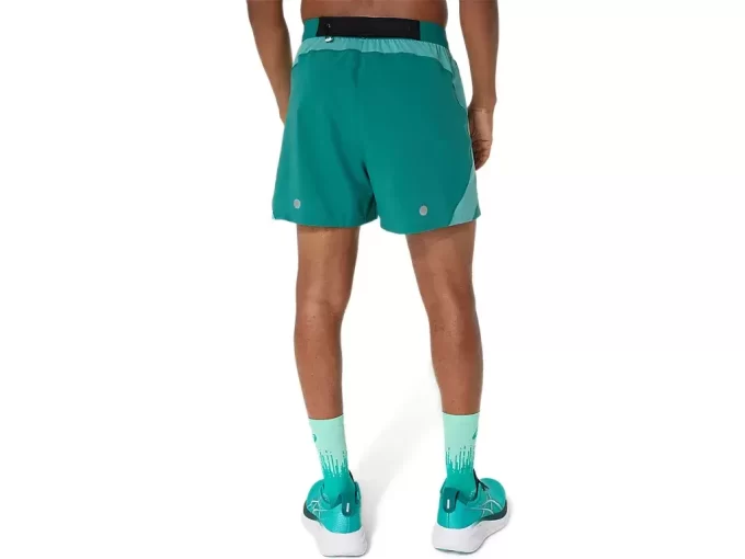 CARRETERA 5 EN CORTO