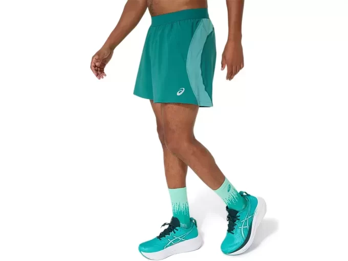 CARRETERA 5 EN CORTO