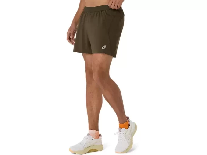 CARRETERA 5 EN CORTO