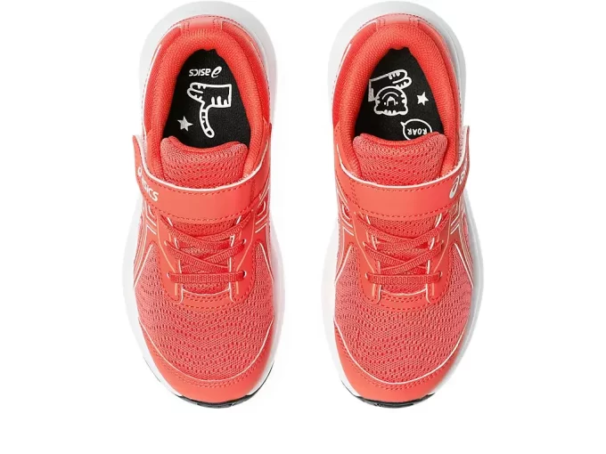 CONTEND 9 PREESCOLAR