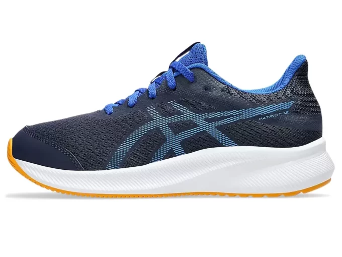 ESCUELA PATRIOTA DE 13.º GRADO