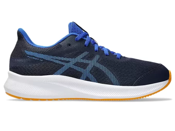 ESCUELA PATRIOTA DE 13.º GRADO