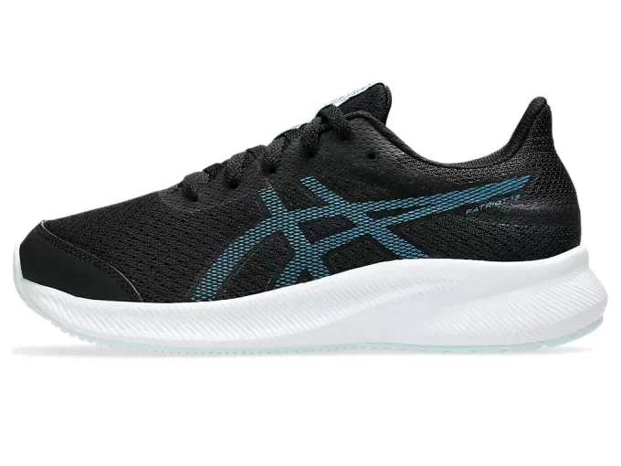 ESCUELA PATRIOTA DE 13.º GRADO