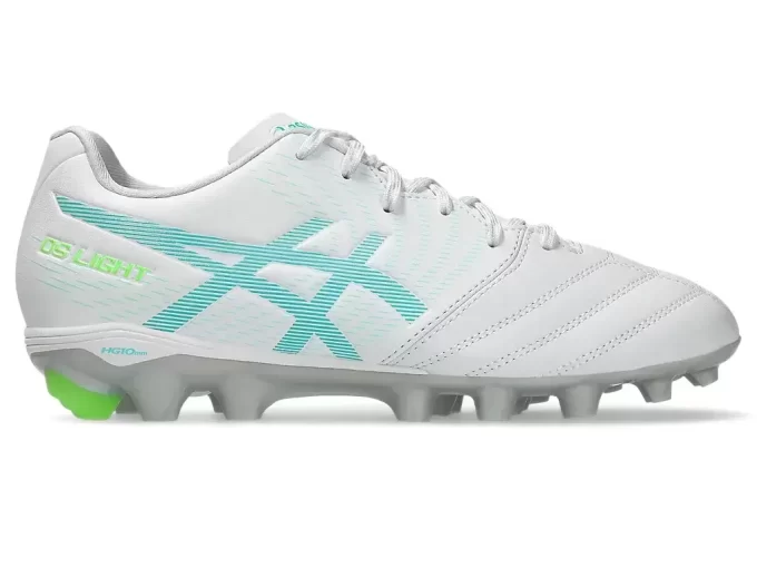 ESCUELA PRIMARIA DS LIGHT JR