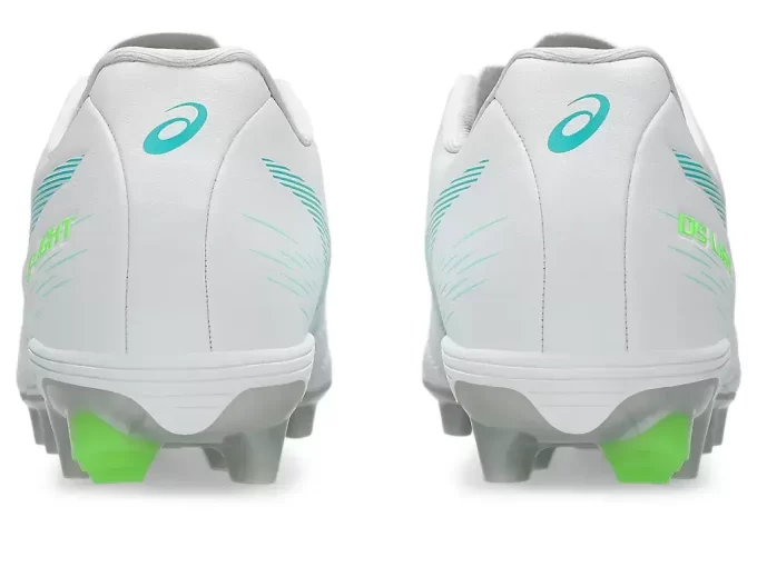 ESCUELA PRIMARIA DS LIGHT JR