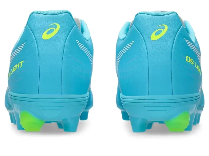 ESCUELA PRIMARIA DS LIGHT JR