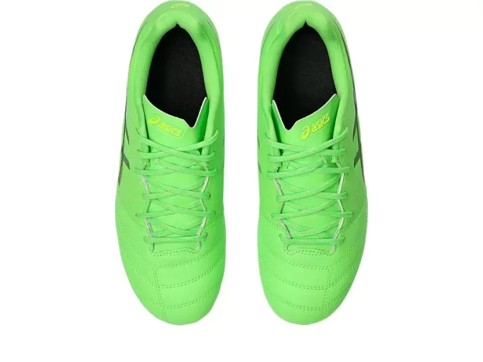 ESCUELA PRIMARIA DS LIGHT JR