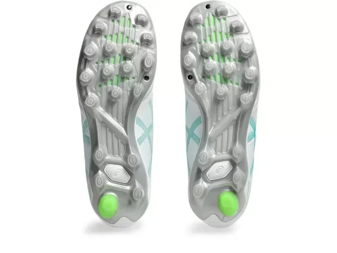 ESCUELA PRIMARIA DS LIGHT JR