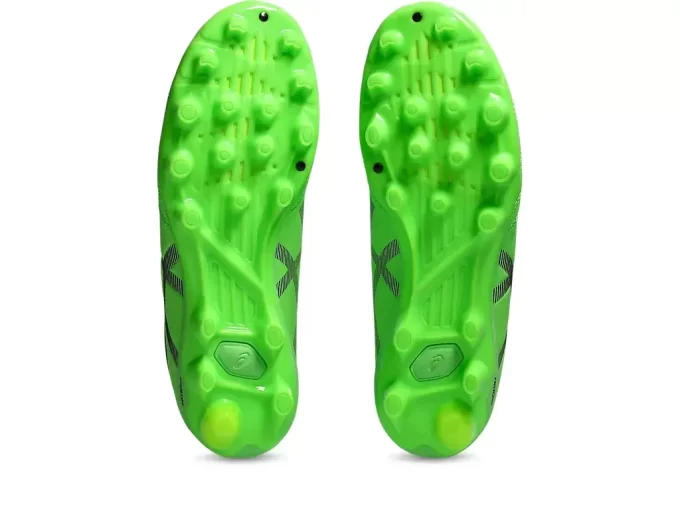 ESCUELA PRIMARIA DS LIGHT JR