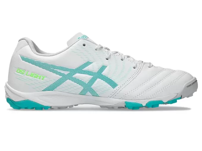 Escuela primaria DS Light Jr. TF