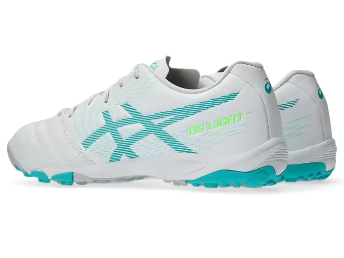 Escuela primaria DS Light Jr. TF