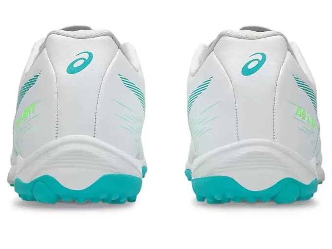 Escuela primaria DS Light Jr. TF