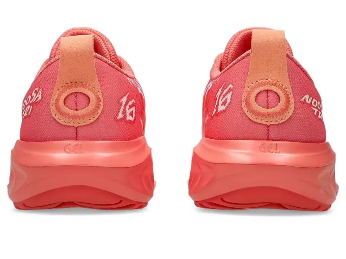 ESCUELA TRI DE 16 GRADOS GEL-NOOSA