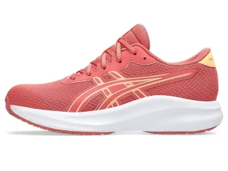 GEL-EXCITE 11.º GRADO DE LA ESCUELA