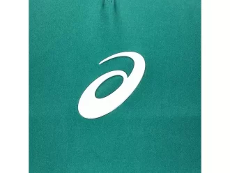 LÍMITE DE RENDIMIENTO