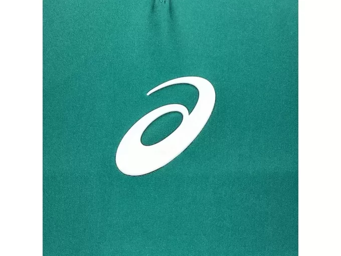 LÍMITE DE RENDIMIENTO