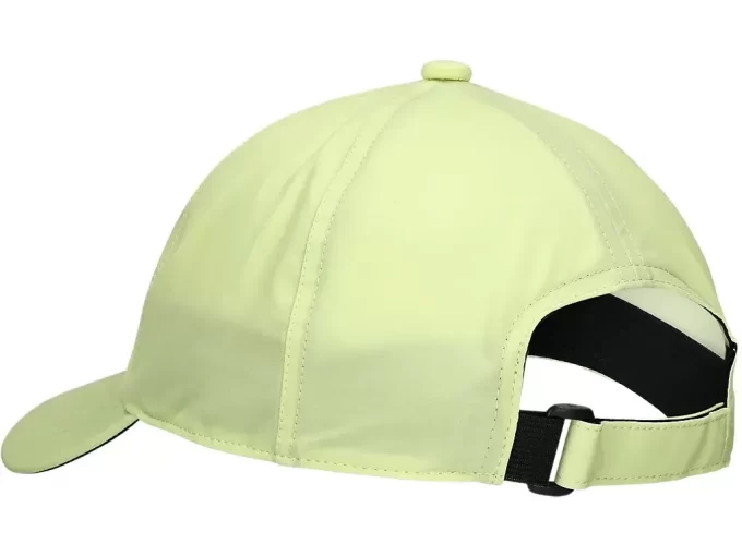 LÍMITE DE RENDIMIENTO