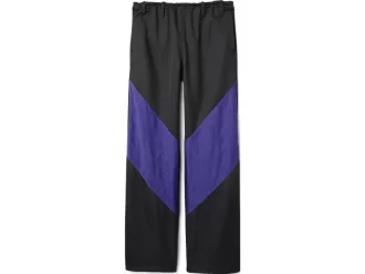 PANTALÓN DE LIATRISORÍA