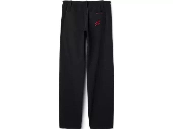 PANTALÓN DE LIATRISORÍA