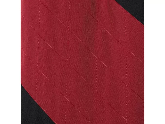 PANTALÓN DE LIATRISORÍA