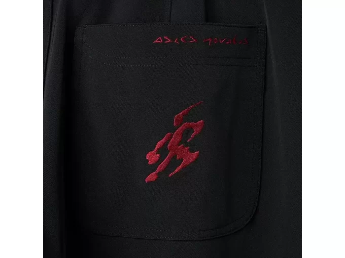 PANTALÓN DE LIATRISORÍA