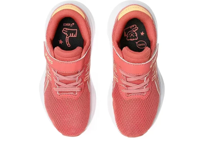 PRE-EXCITE 11 PREESCOLAR