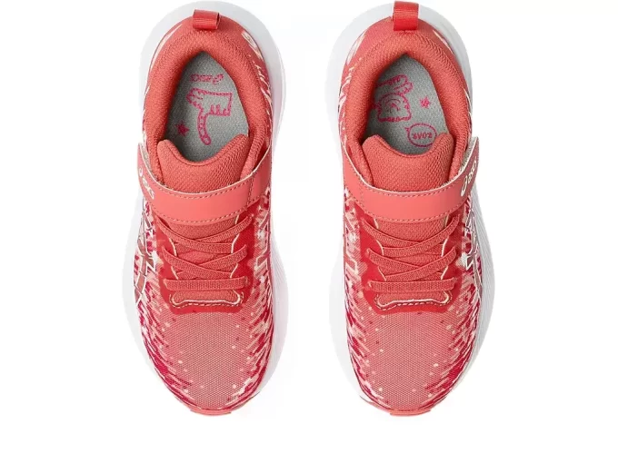 PRE NOOSA TRI 16 PREESCOLAR