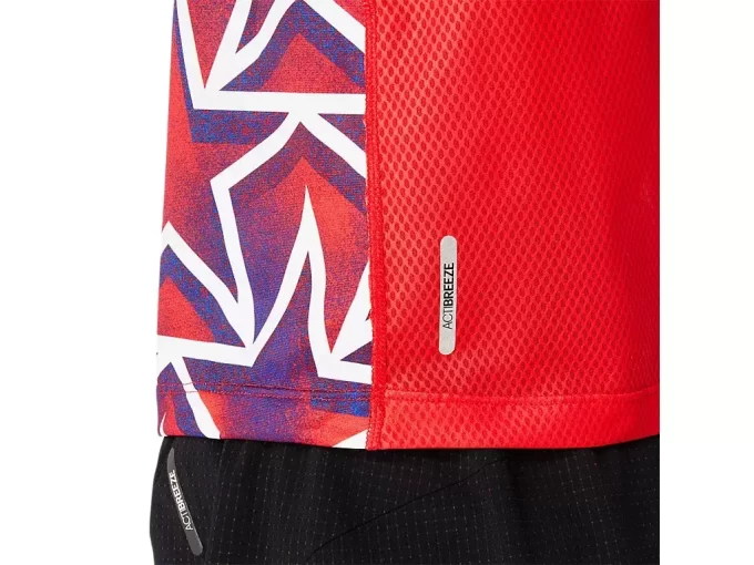 TANQUE DIRIGIDO POR LAS NACIONES